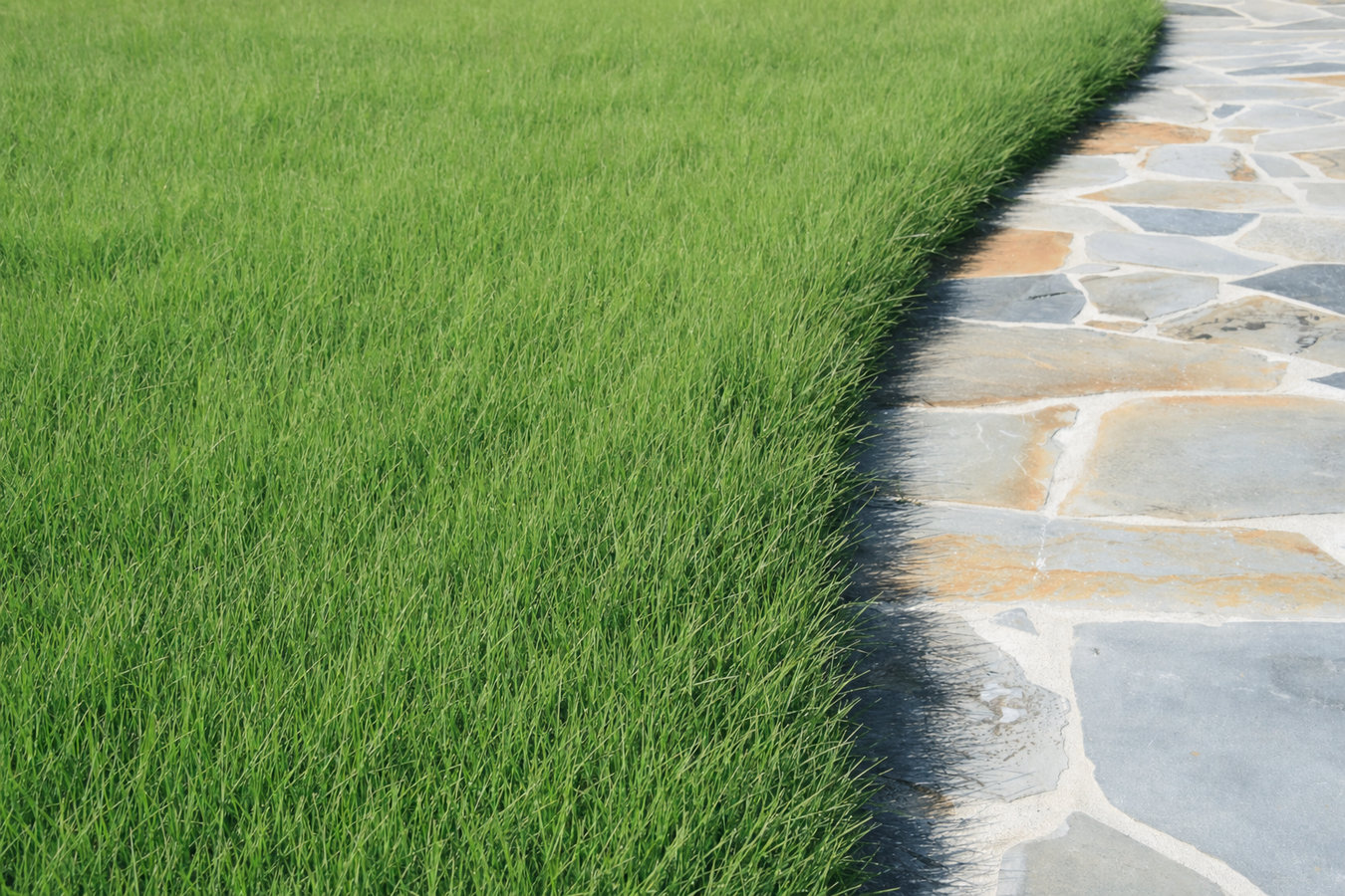Artificial grass installation in San Pablo, CA